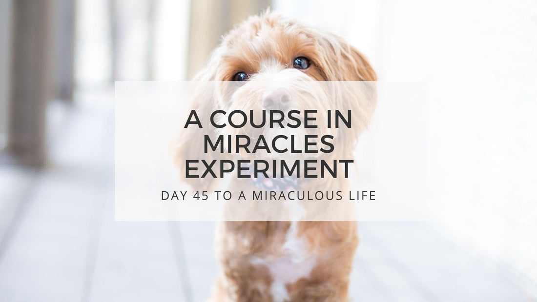 Lesson 45 to a miraculous life