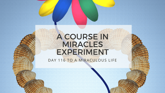 lesson 116 to a miraculous life