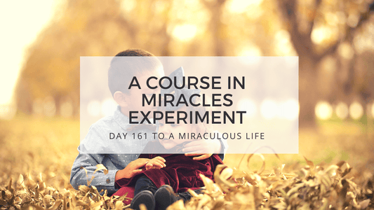 lesson 161 to a miraculous life