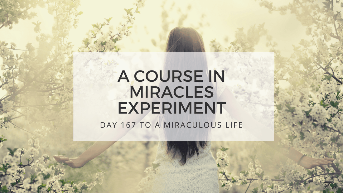 lesson 167 to a miraculous life