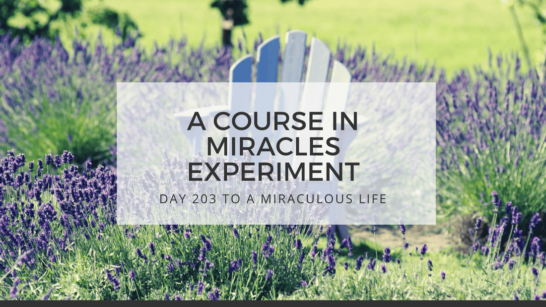 lesson 203 to a miraculous life