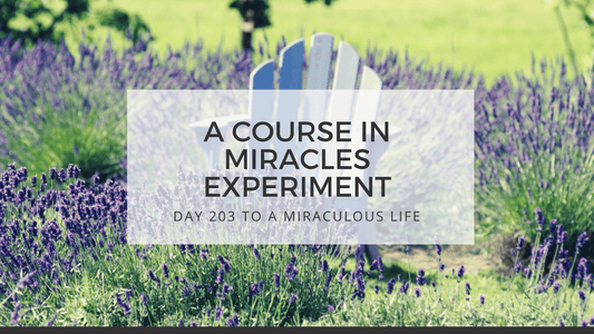 lesson 203 to a miraculous life