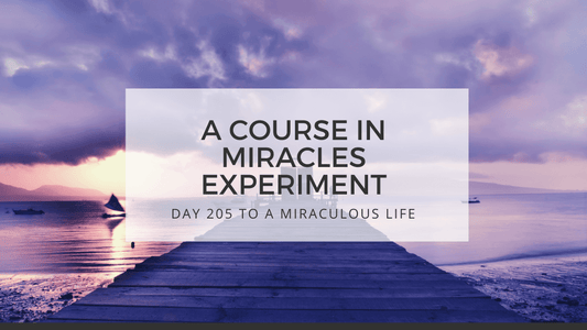 lesson 205 to a miraculous life