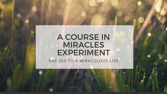 lesson 206 to a miraculous life