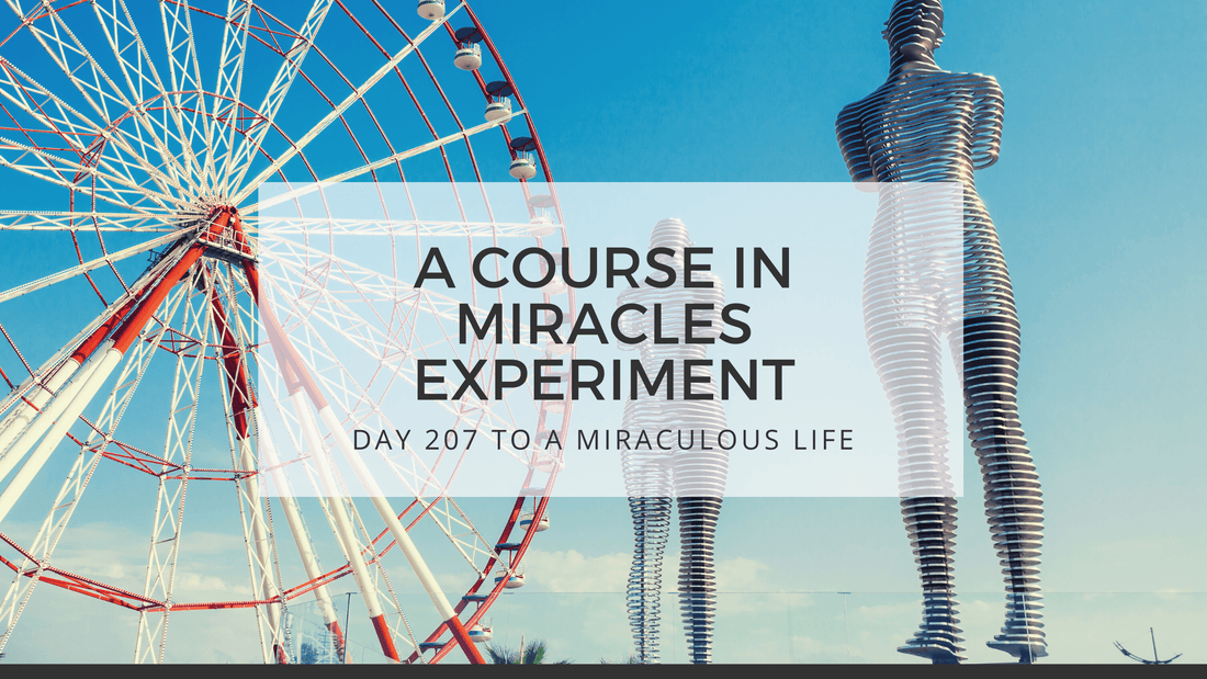 lesson 207 to a miraculous life