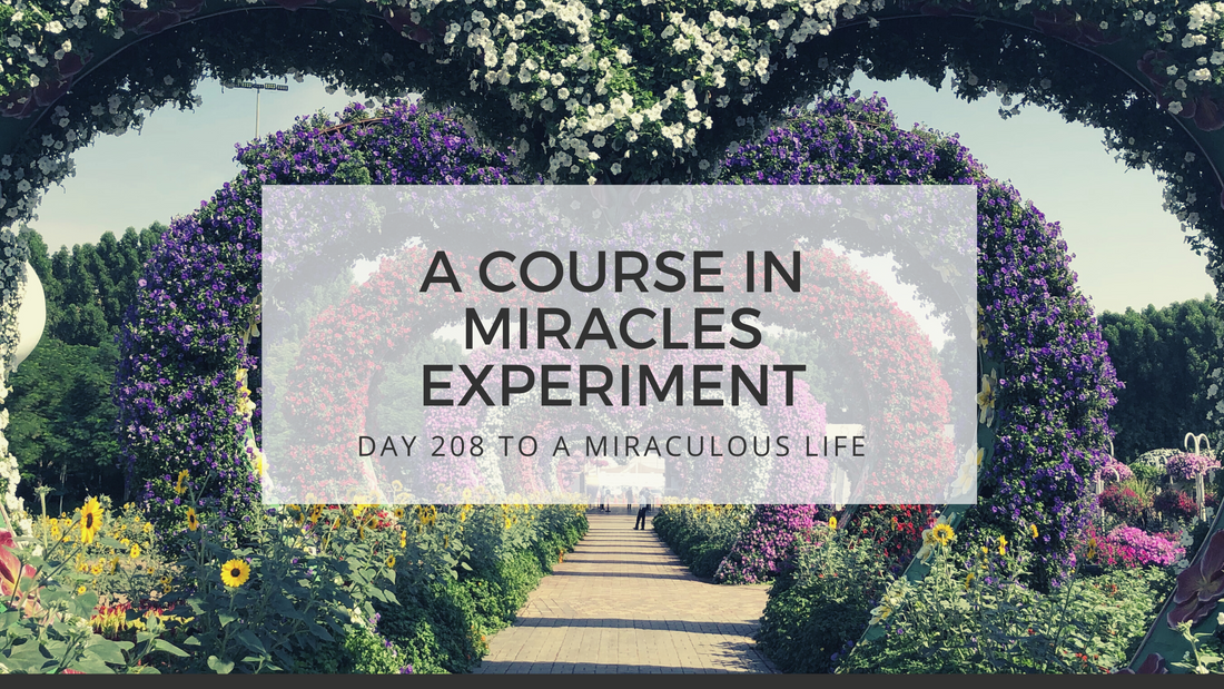 lesson 208 to a miraculous life