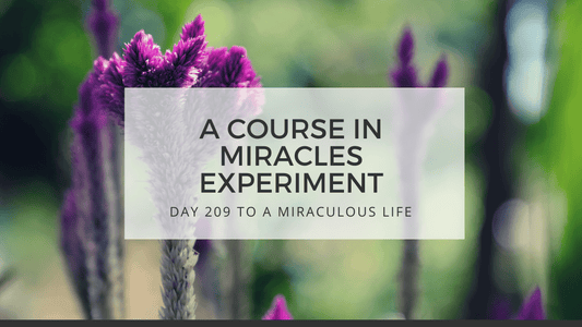 lesson 209 to a miraculous life