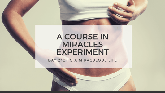 lesson 213 to a miraculous life