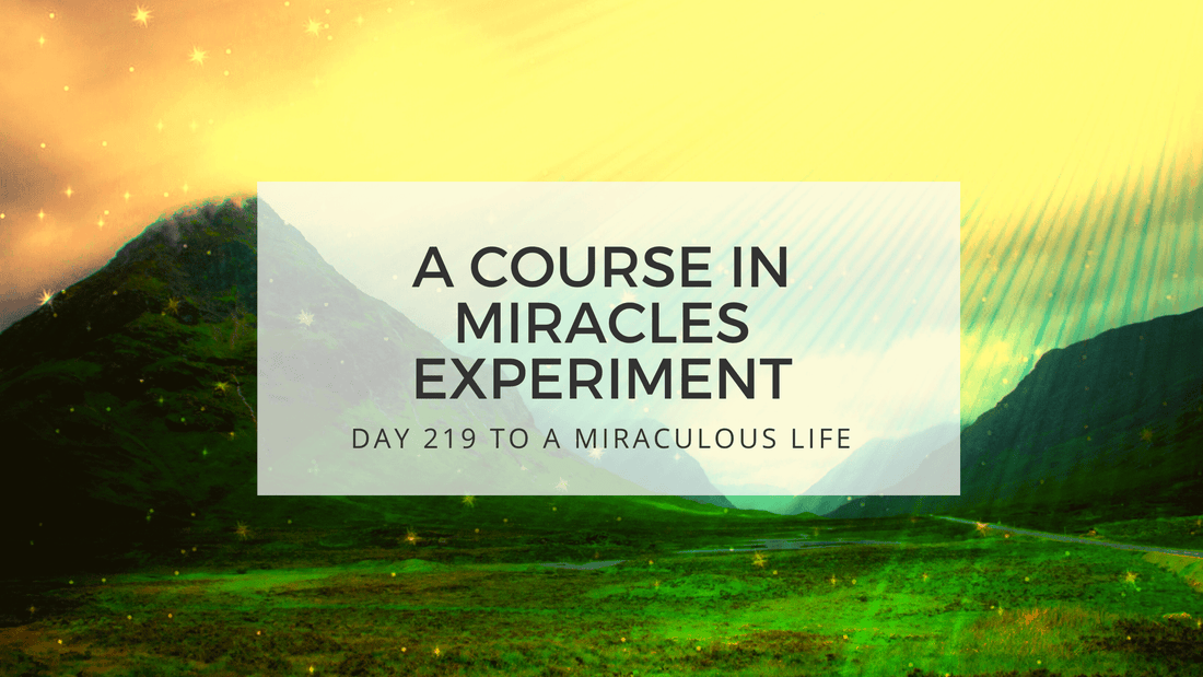 lesson 219 to a miraculous life