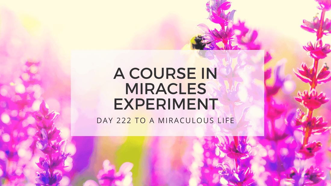 lesson 222 to a miraculous life