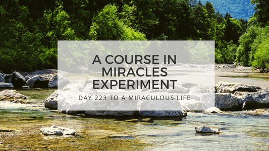 lesson 223 to a miraculous life