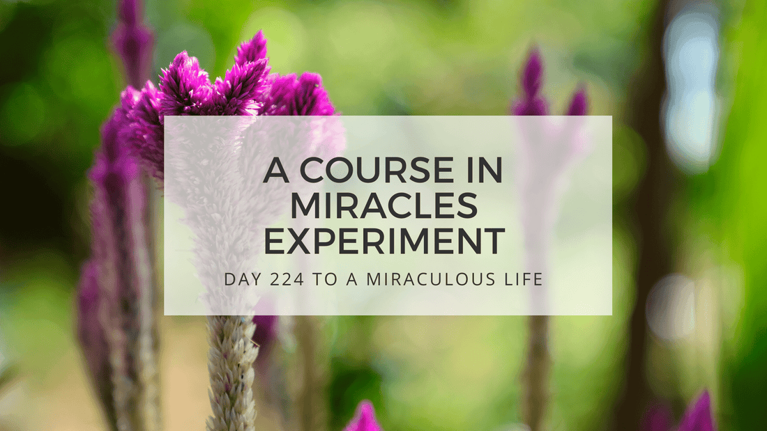 lesson 224 to a miraculous life