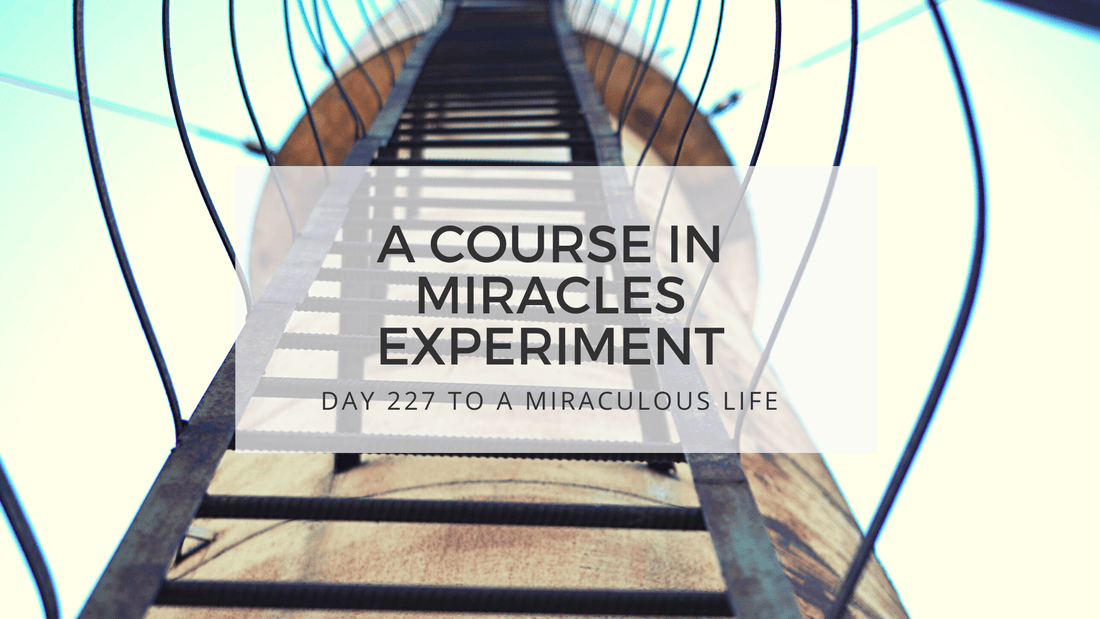 lesson 227 to a miraculous life