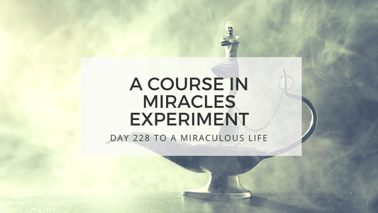 lesson 228 to a miraculous life