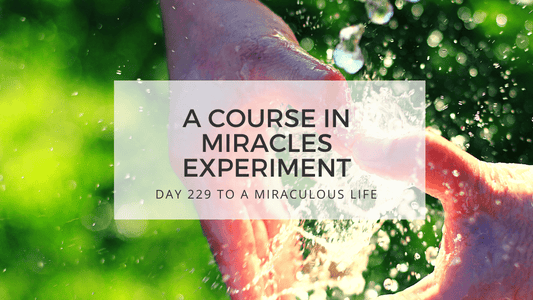 lesson 229 to a miraculous life