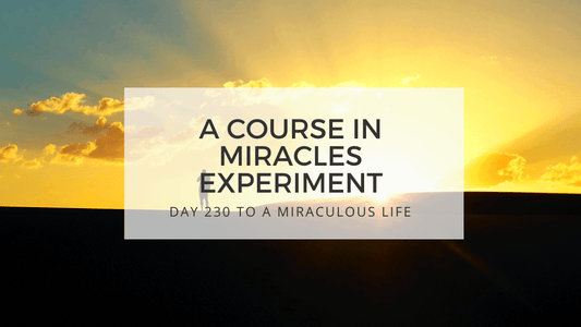 lesson 230 to a miraculous life