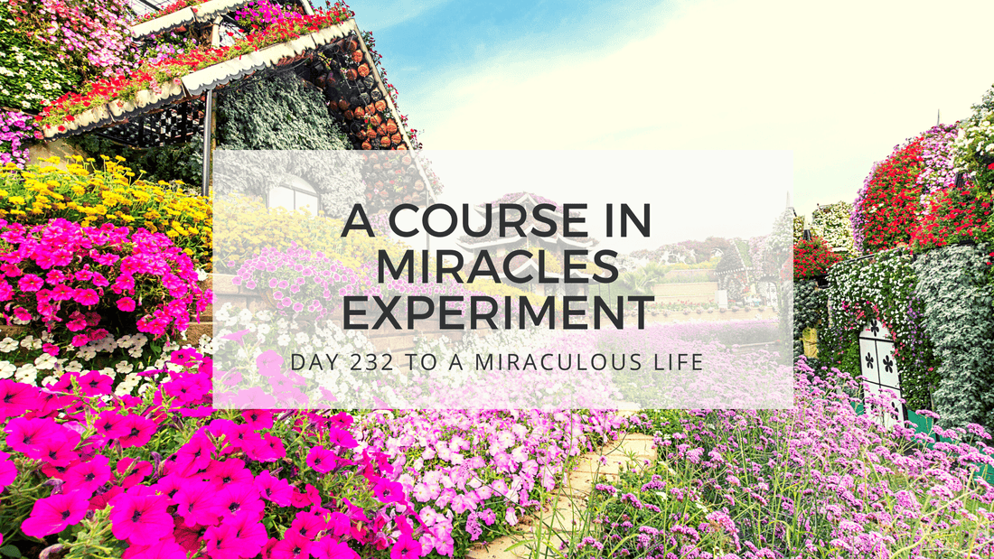 lesson 232 to a miraculous life