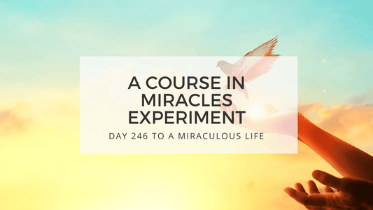 lesson 246 to a miraculous life