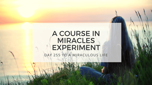 lesson 255 to a miraculous life