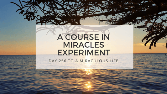 lesson 256 to a miraculous life