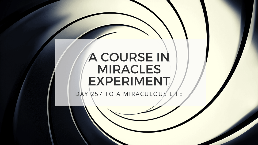 lesson 257 to a miraculous life