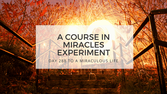 lesson 288 to a miraculous life