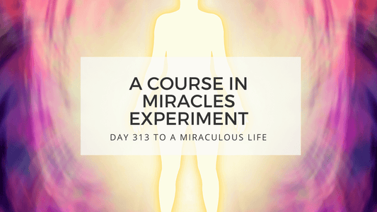 lesson 313 to a miraculous life