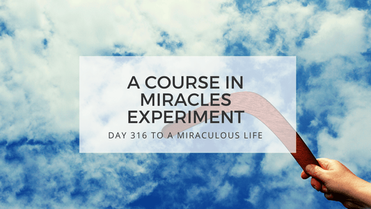 lesson 316 to a miraculous life