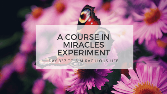 lesson 337 to a miraculous life