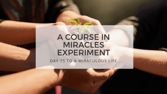 lesson 75 to a miraculous life